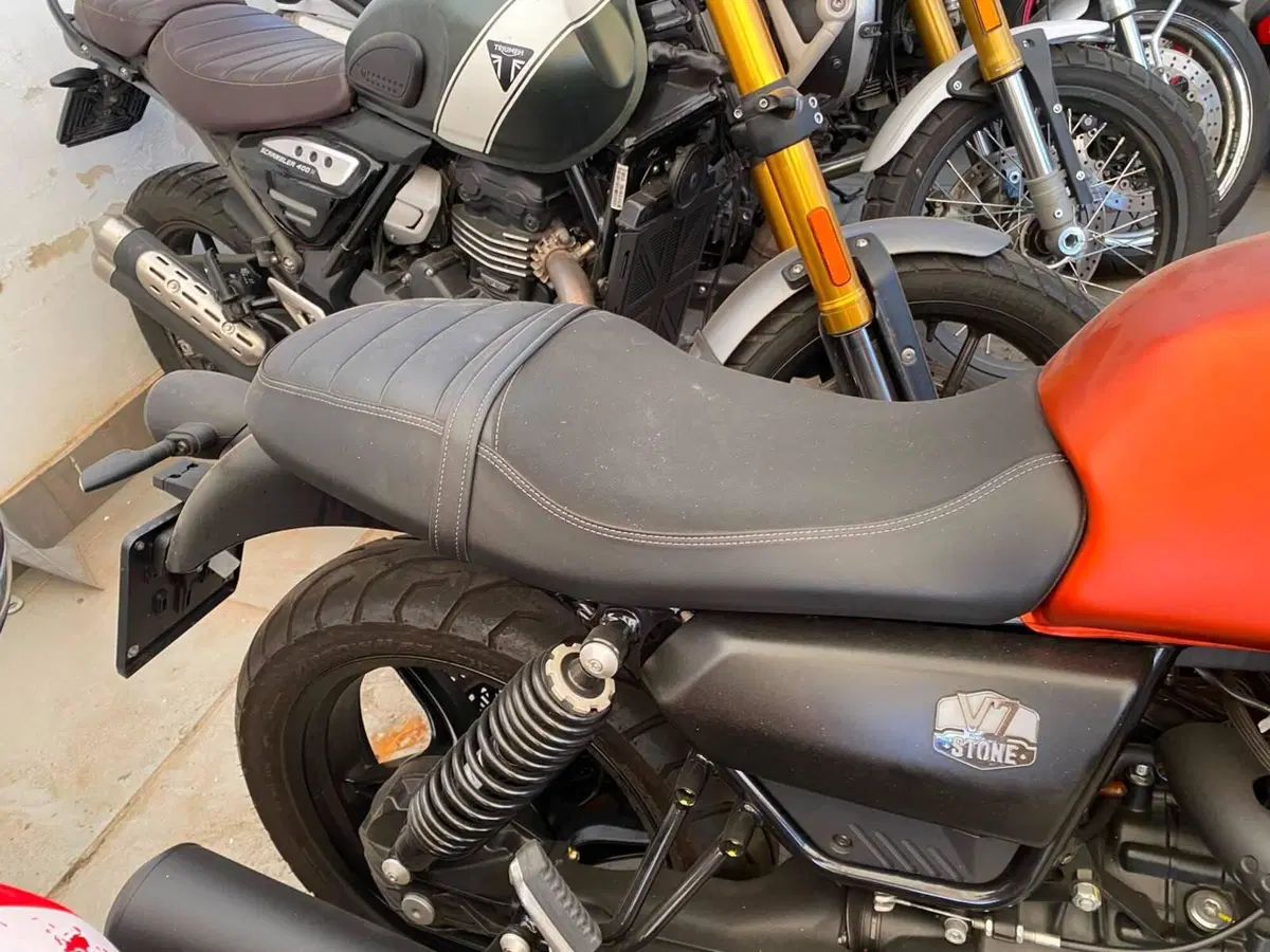 Moto Guzzi V7 Stone (2021 - 24) (5)