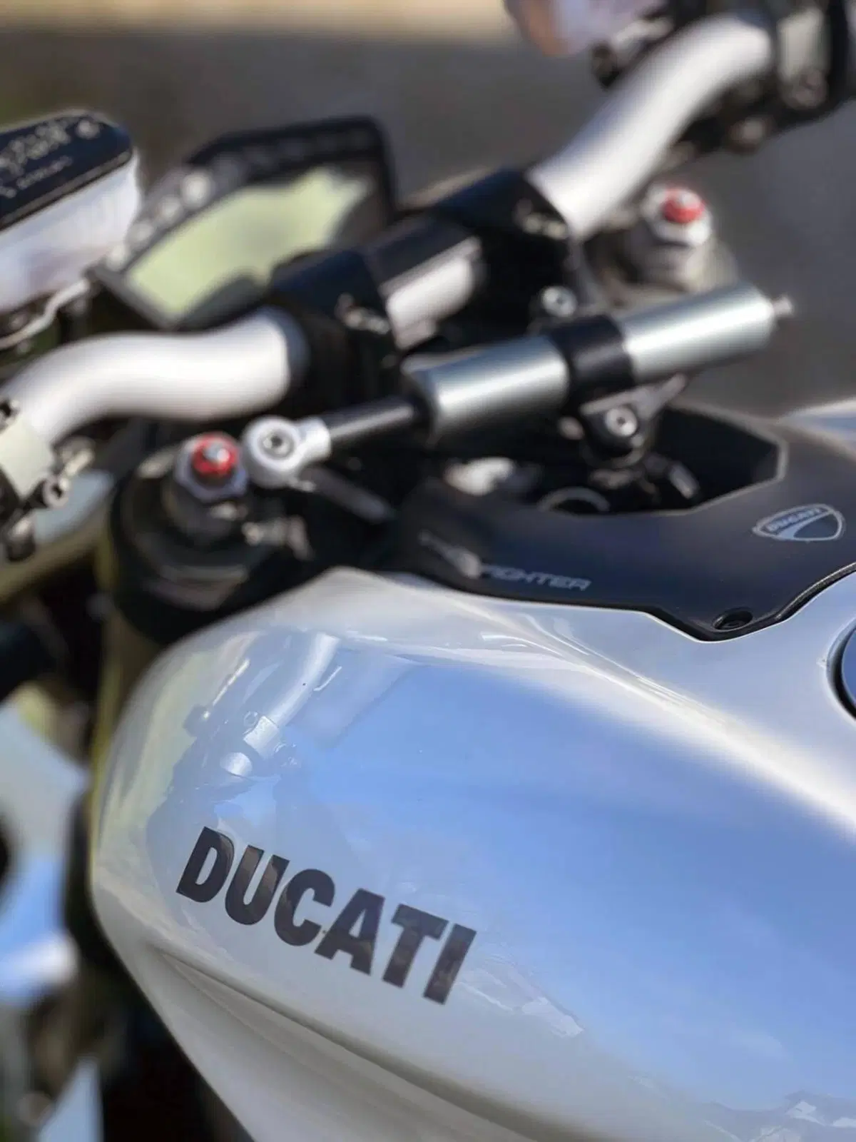 Ducati Streetfighter (2009 - 12) (8)