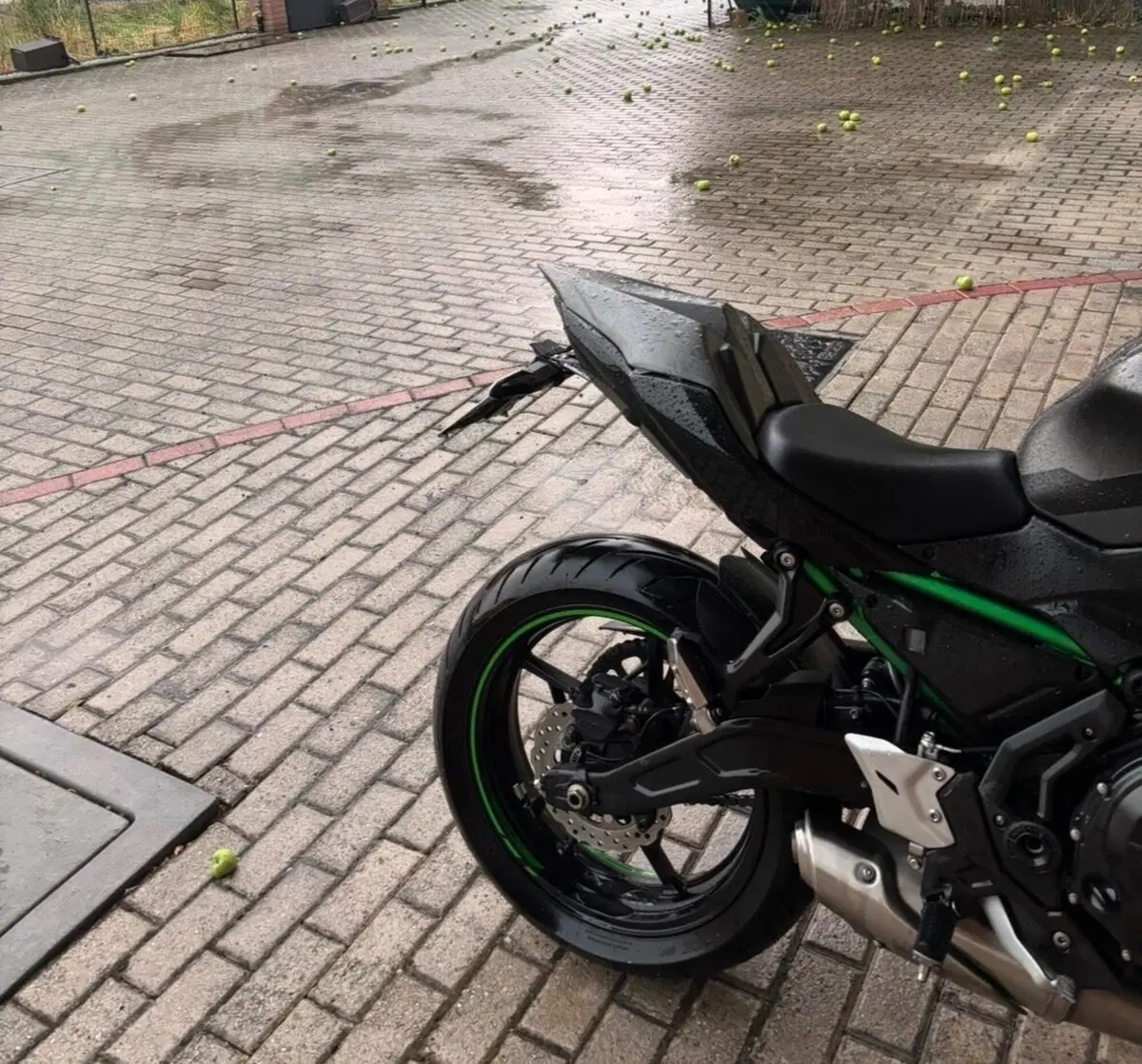 Kawasaki Z 650 Sport (2021 - 24) (6)