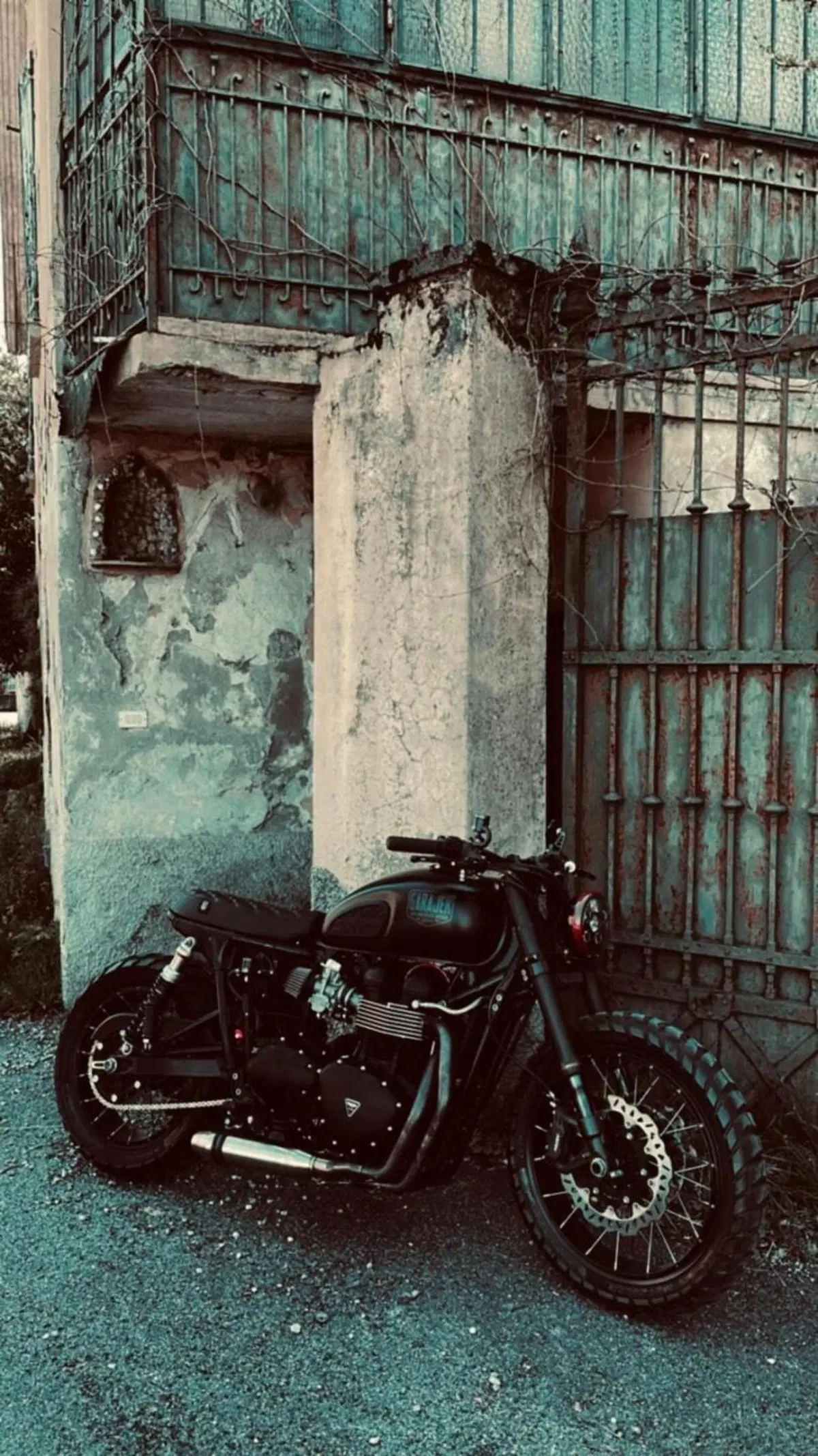Triumph Bonneville T100 (2001 - 07) (7)