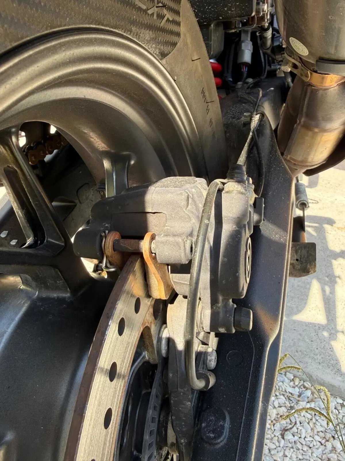 Triumph Tiger 900 GT (2020 - 23) (5)