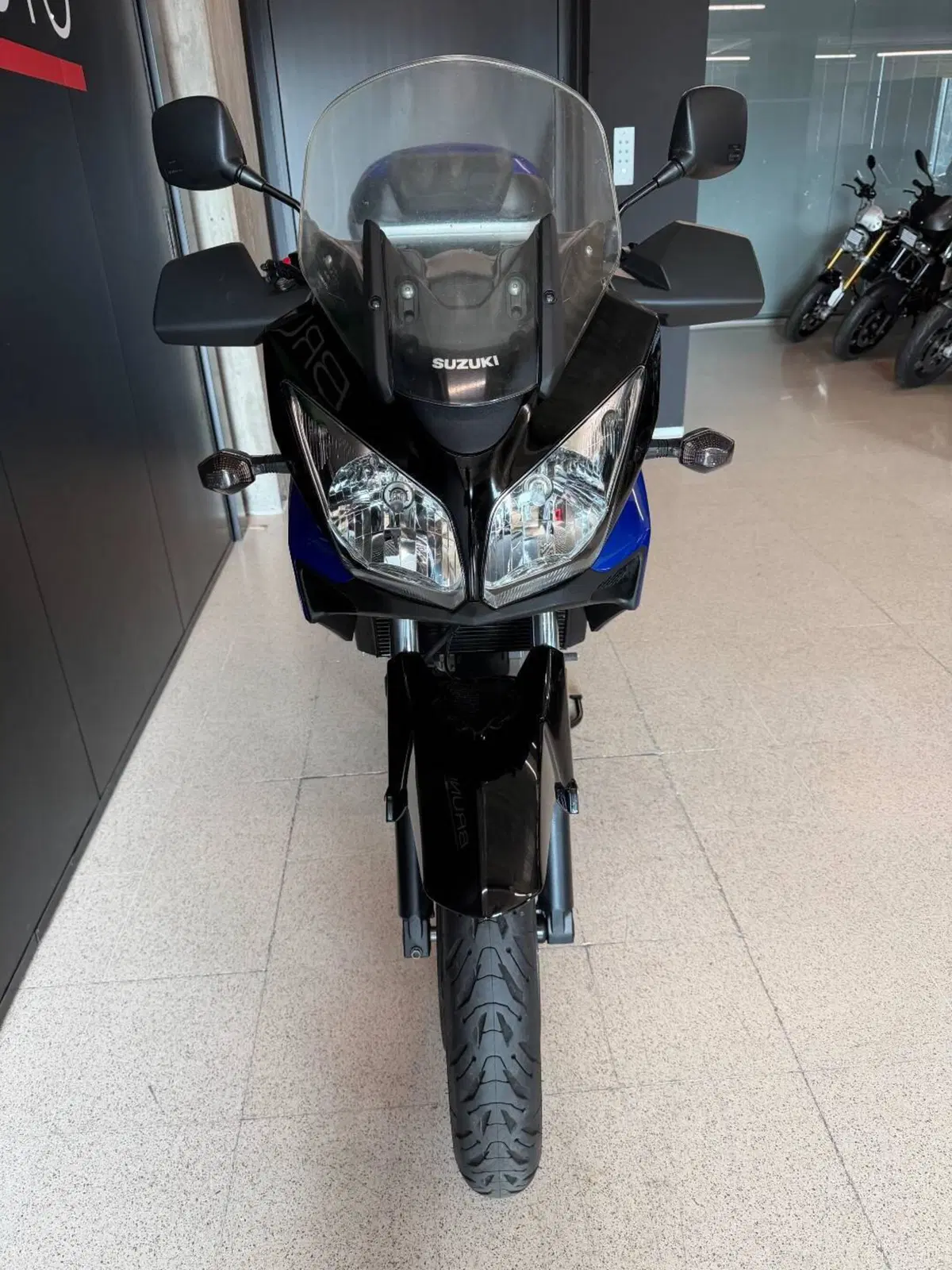 Suzuki V-Strom 650 (2008 - 11) (4)