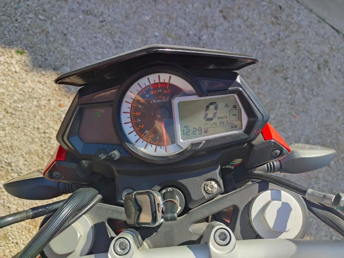 Benelli BN 251 (2017 - 20) (2)