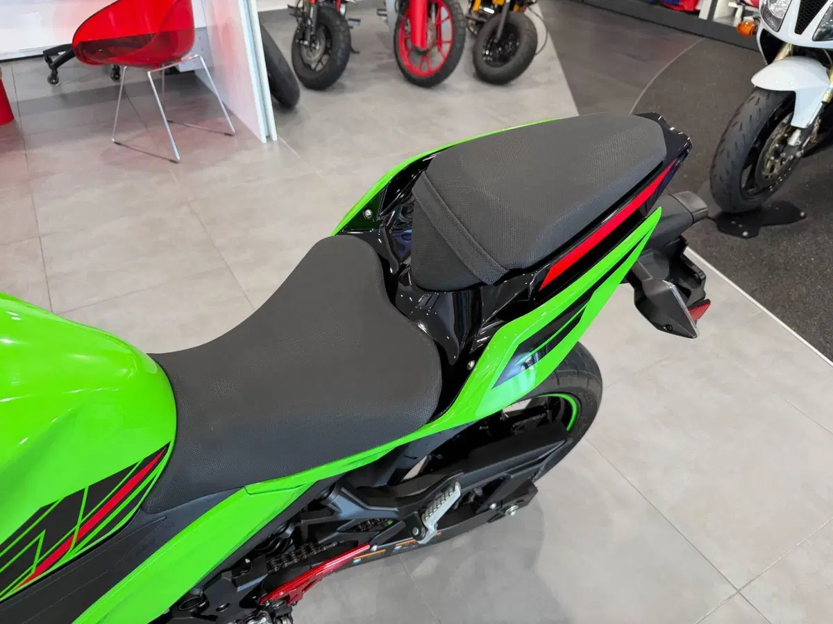 Kawasaki Ninja 400 Sport (2023) (10)