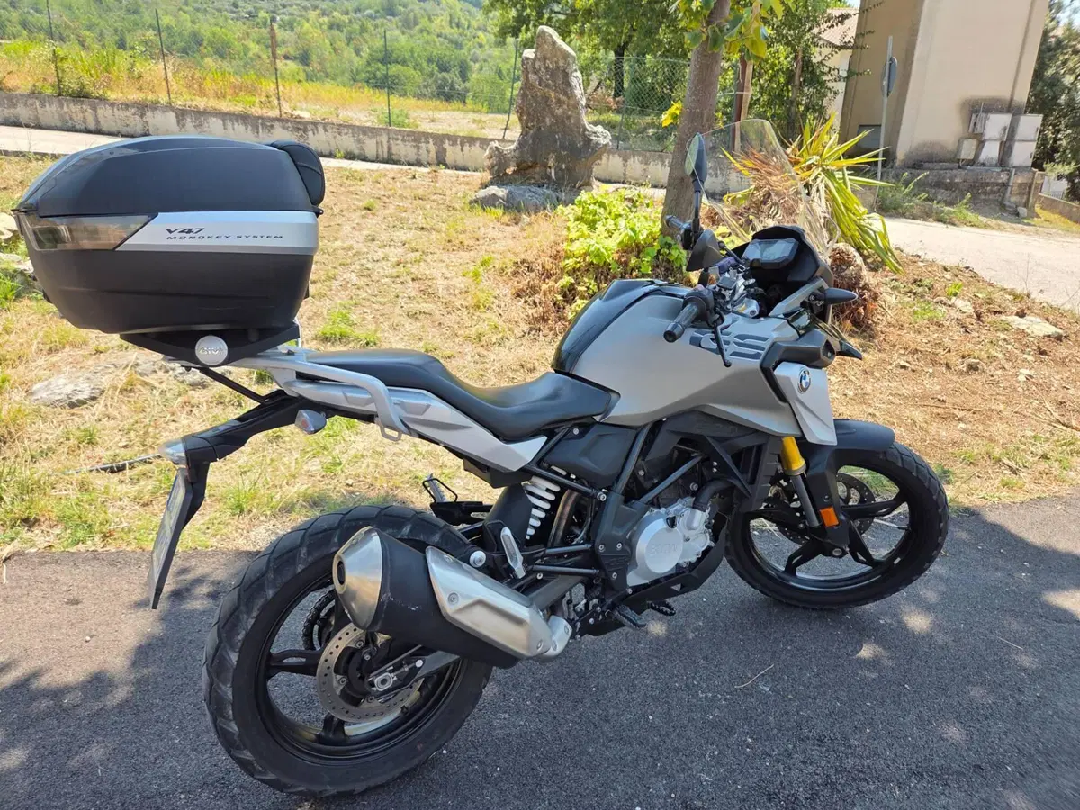 Bmw G 310 GS (2017 - 20) (12)