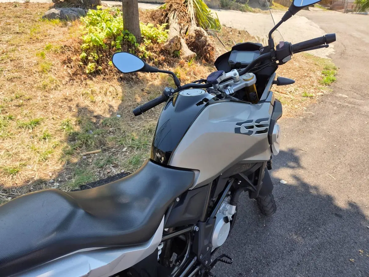 Bmw G 310 GS (2017 - 20) (14)