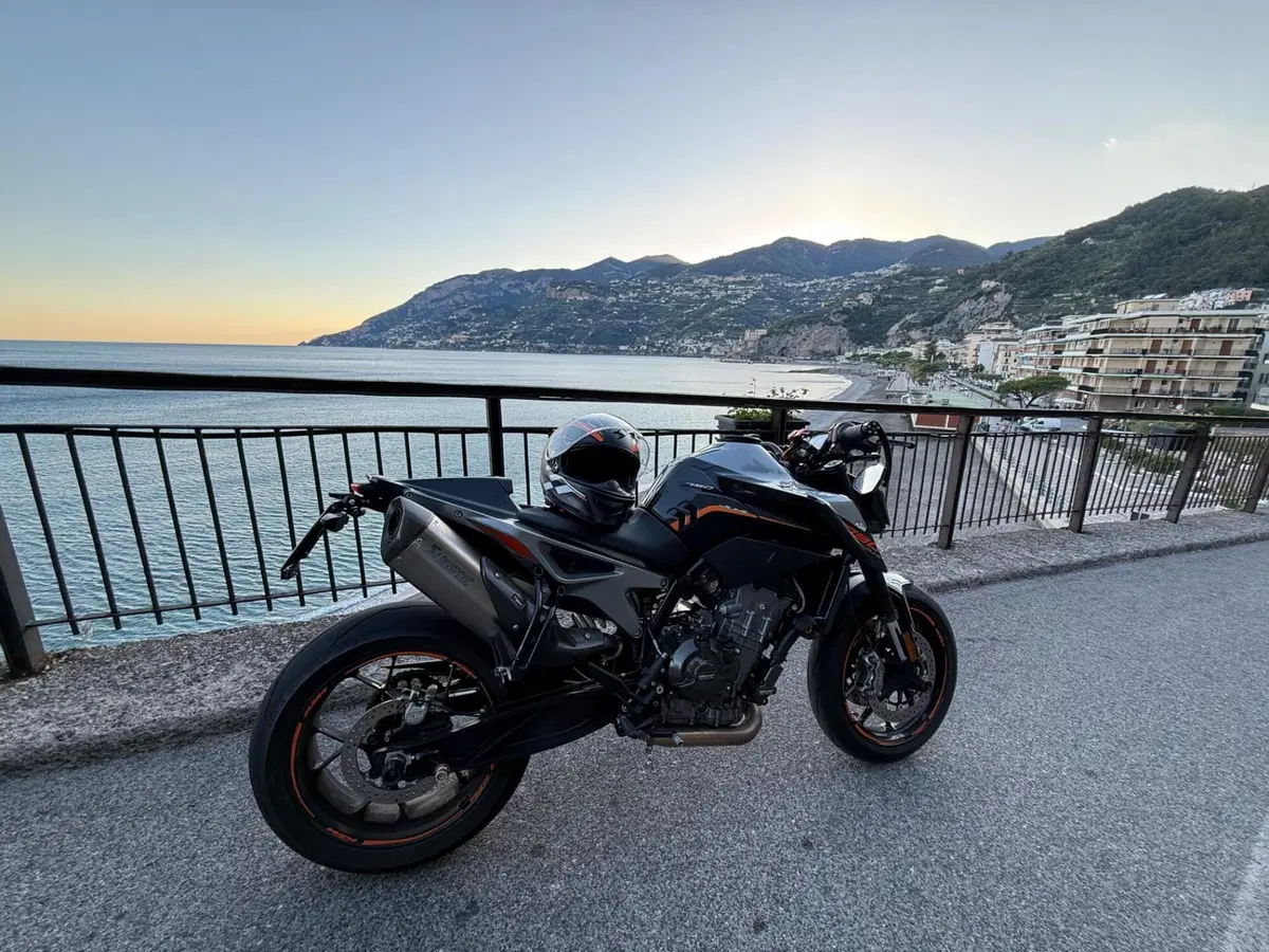 KTM 790 Duke (2018 - 20) (6)