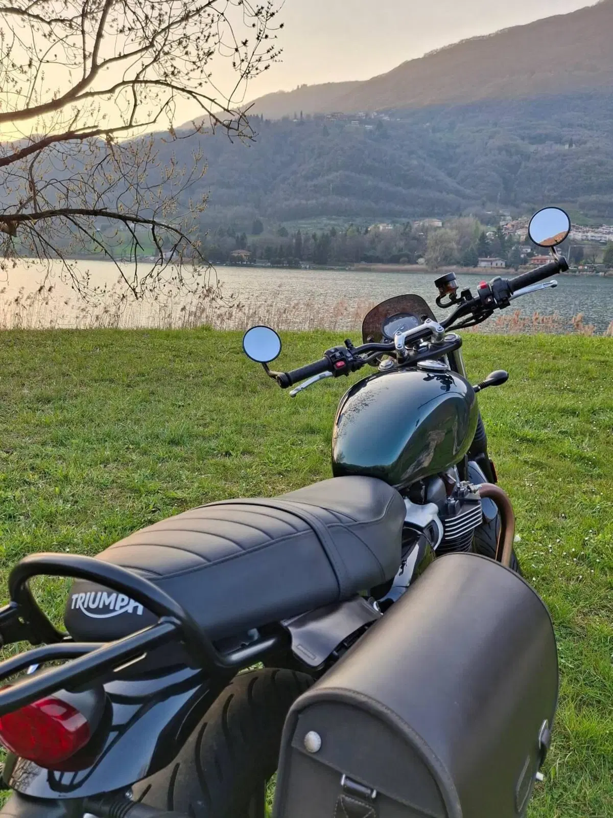 Triumph Speed Twin 900 (2023 - 24) (6)