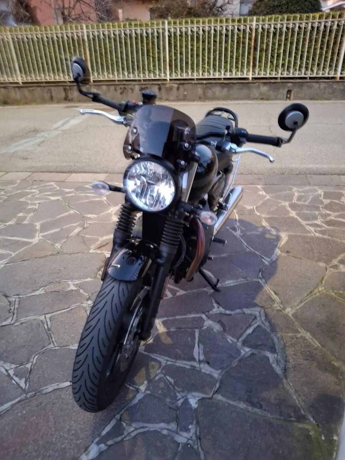 Triumph Speed Twin 900 (2023 - 24) (7)