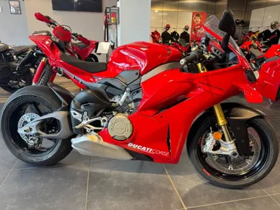 Ducati Panigale V4 S (2025 - 26) usata