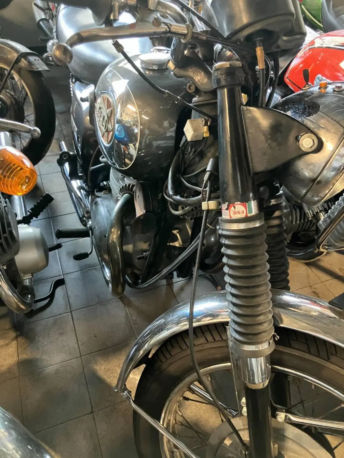 Bsa 650 Tunderbolth (6)
