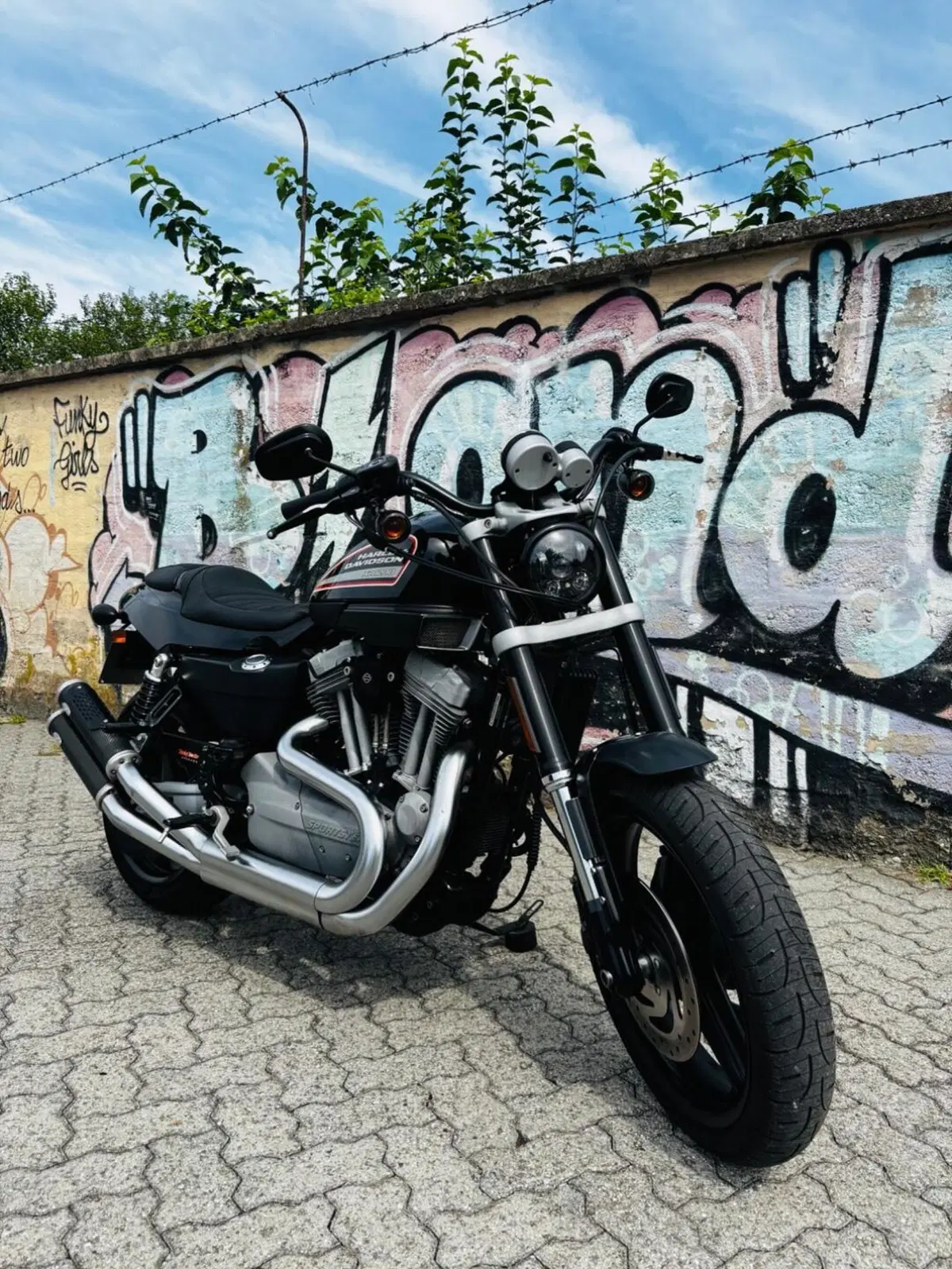 Harley-Davidson 1200 XR (2009 - 12) (2)