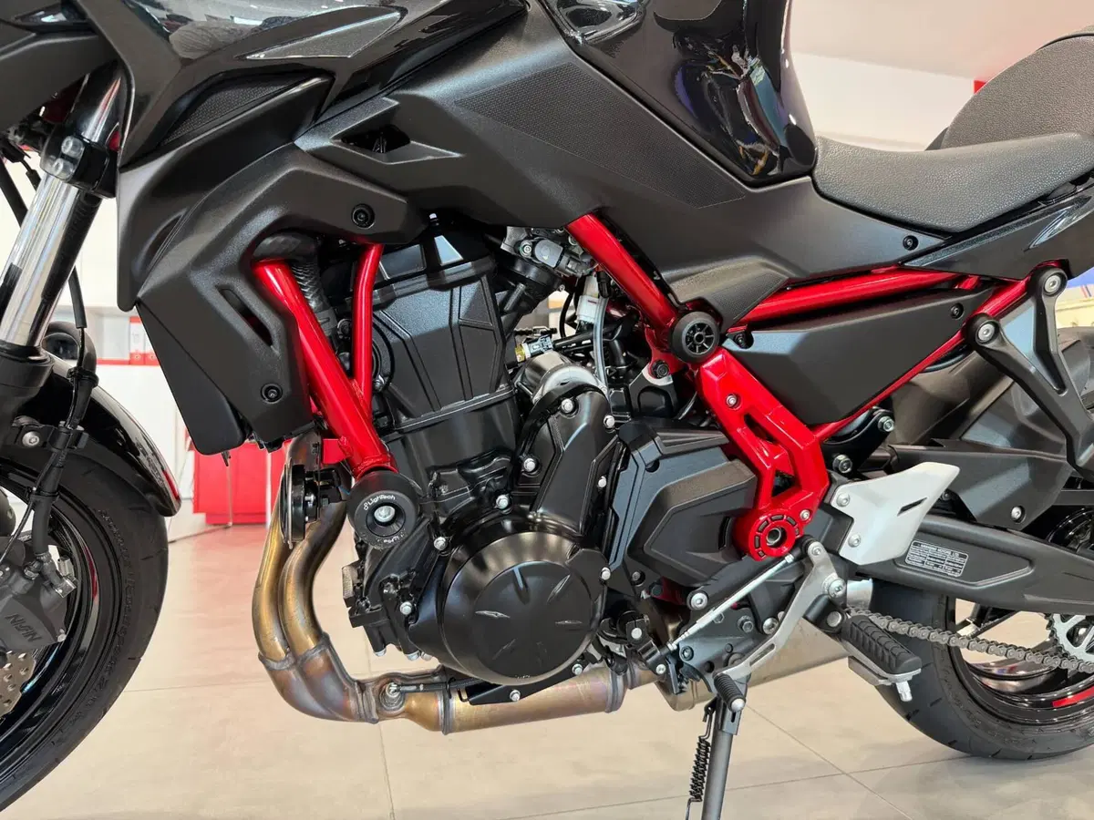 Kawasaki Z 650 (2025 - 26) (12)