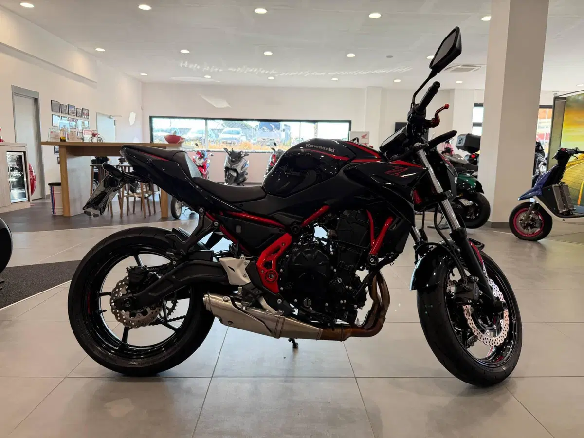 Kawasaki Z 650 (2025 - 26) (6)
