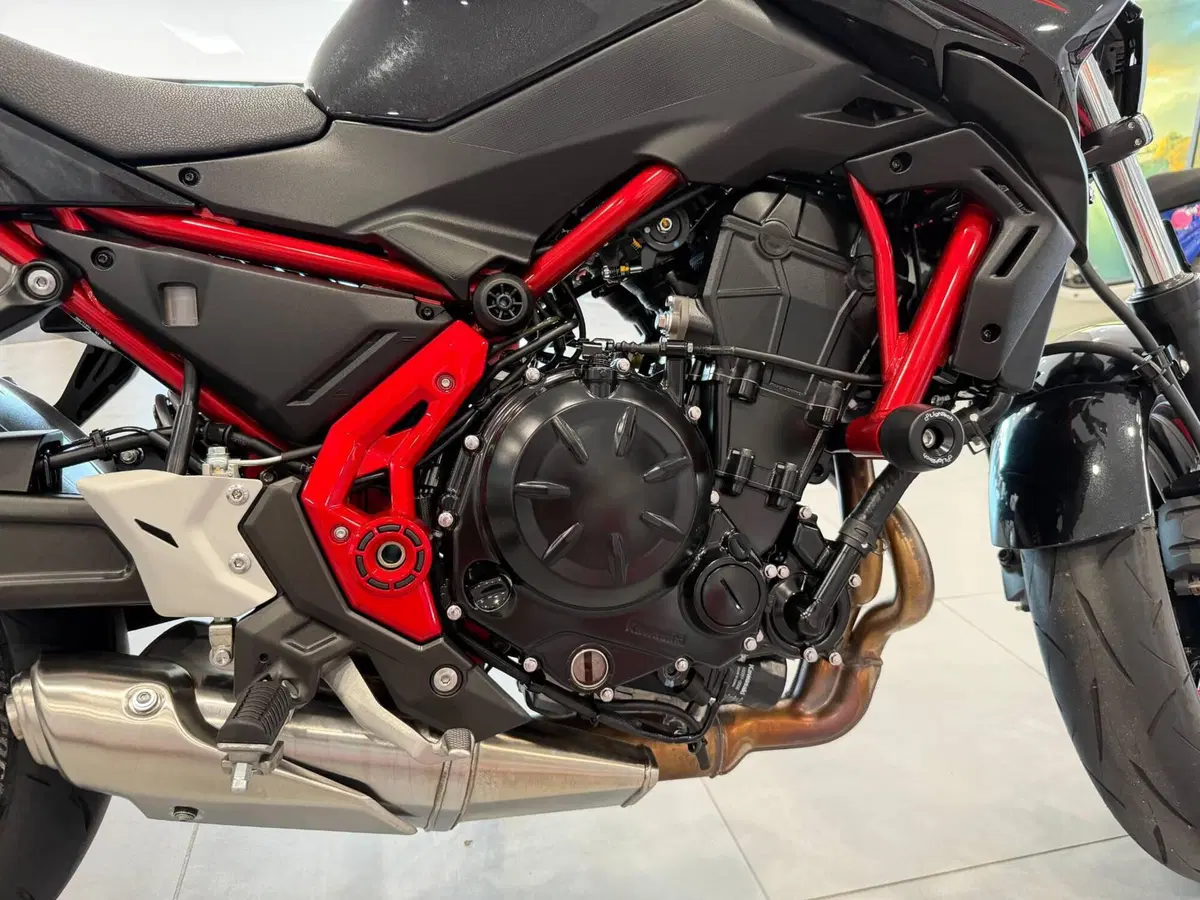 Kawasaki Z 650 (2025 - 26) (15)
