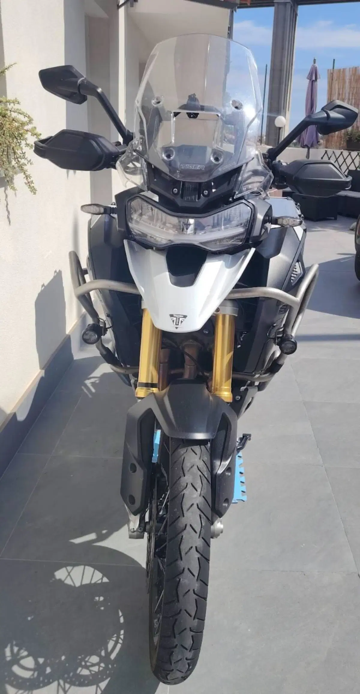 Triumph Tiger 1200 Rally Explorer (2022 - 23) (4)