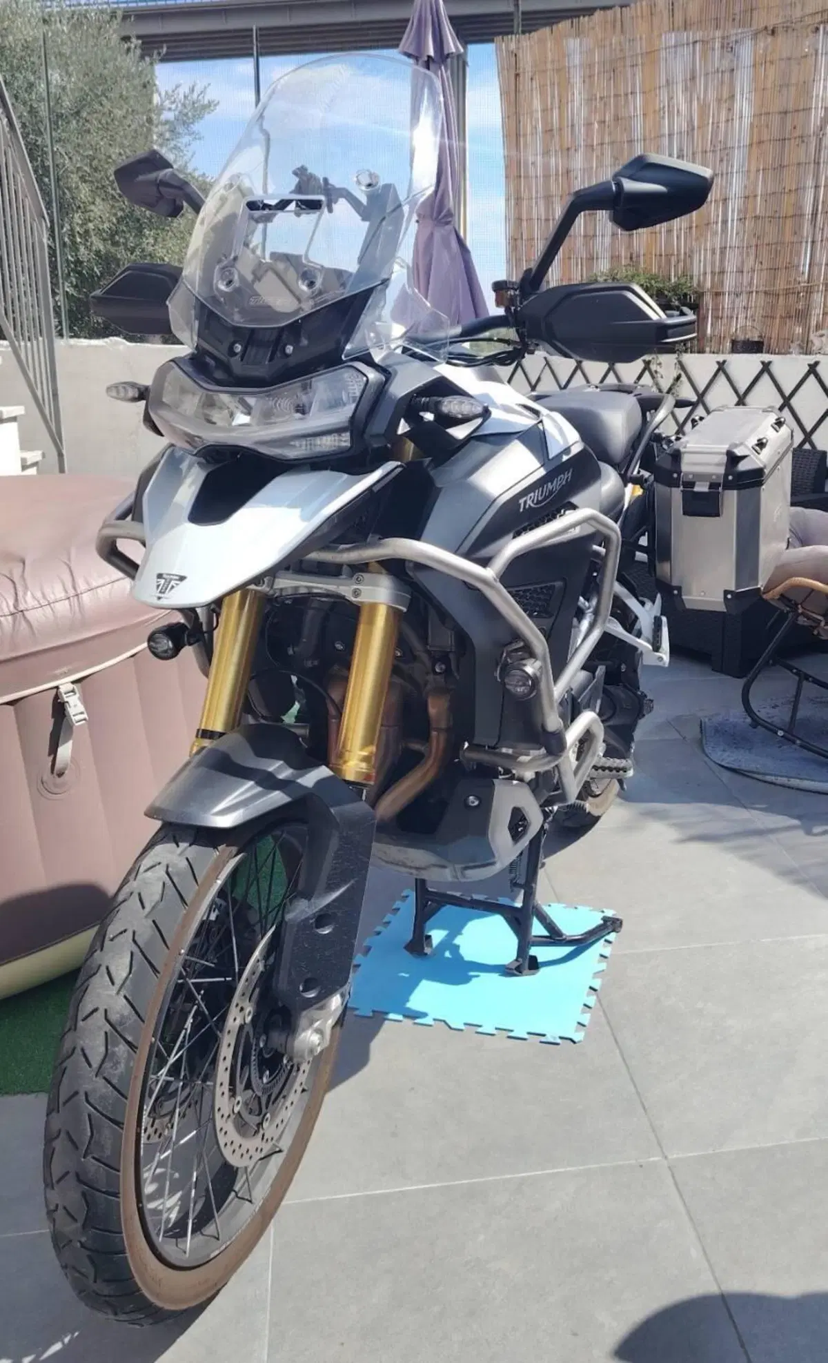 Triumph Tiger 1200 Rally Explorer (2022 - 23) (5)