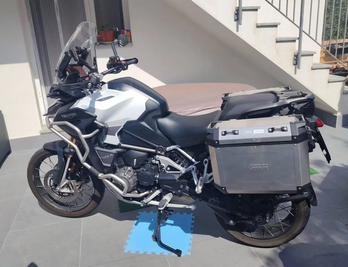 Triumph Tiger 1200 Rally Explorer (2022 - 23) (7)
