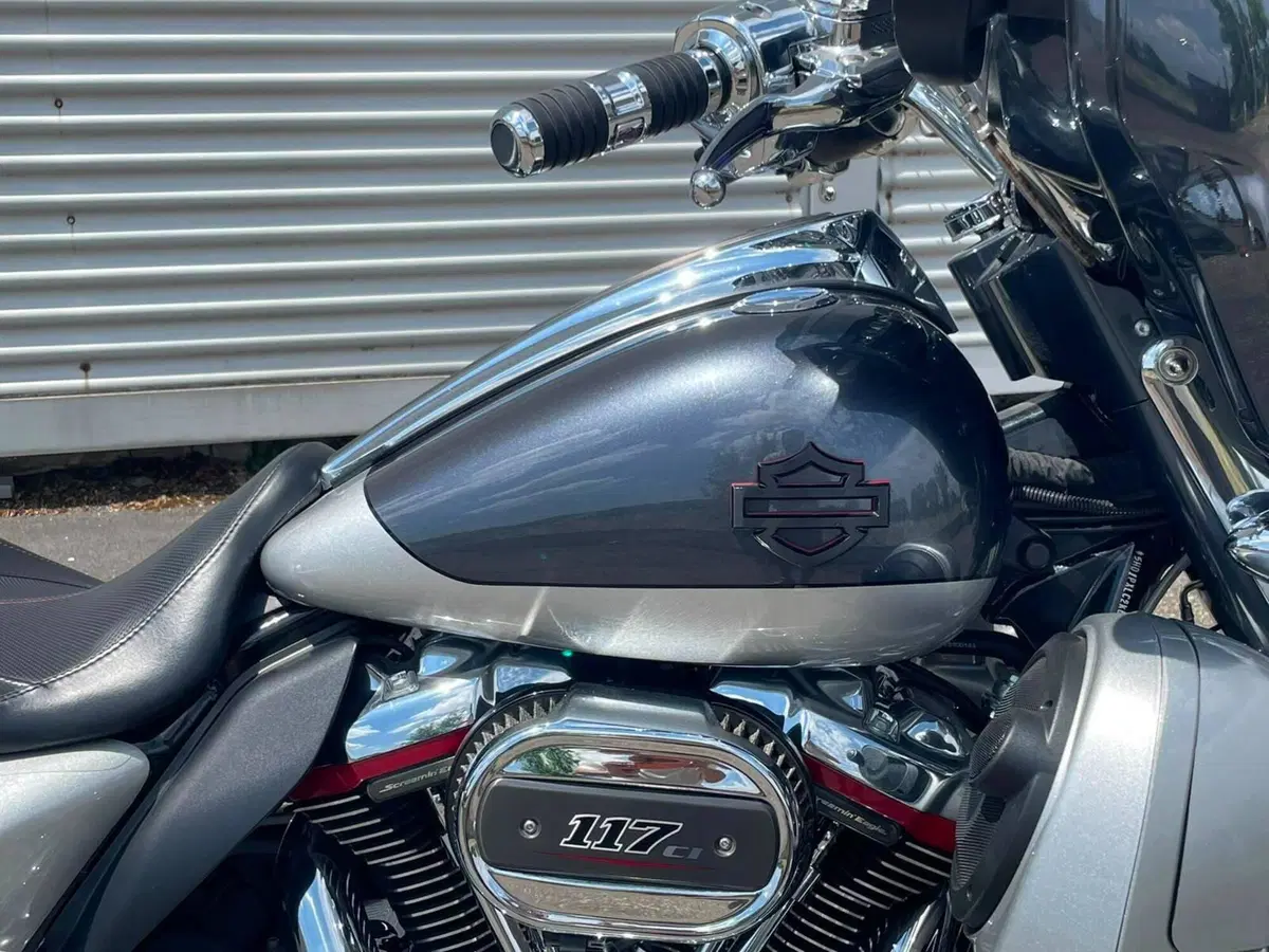 Harley-Davidson 117 Street Glide (2018 - 20) - FLHXSE (8)