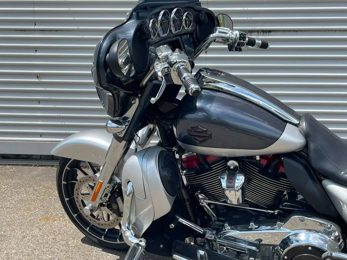 Harley-Davidson 117 Street Glide (2018 - 20) - FLHXSE (9)