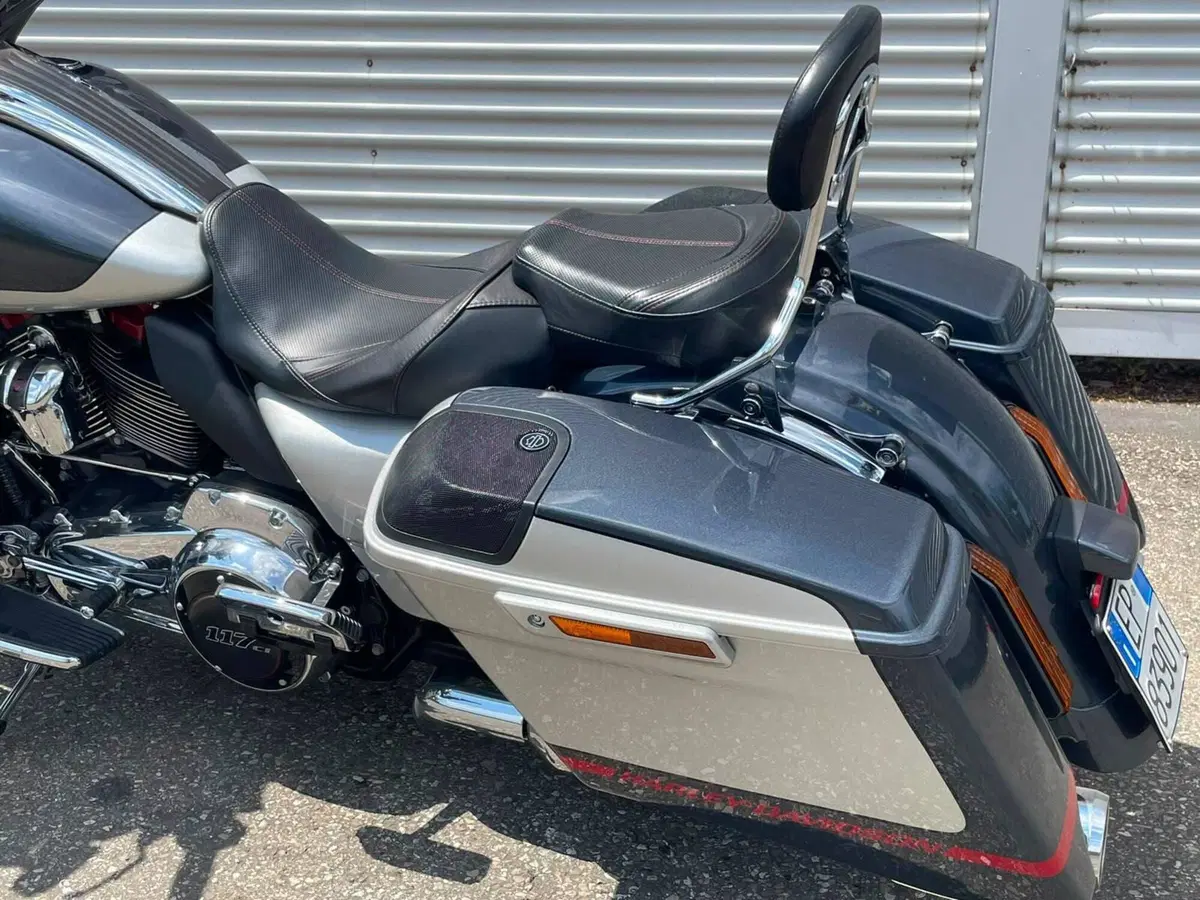 Harley-Davidson 117 Street Glide (2018 - 20) - FLHXSE (11)