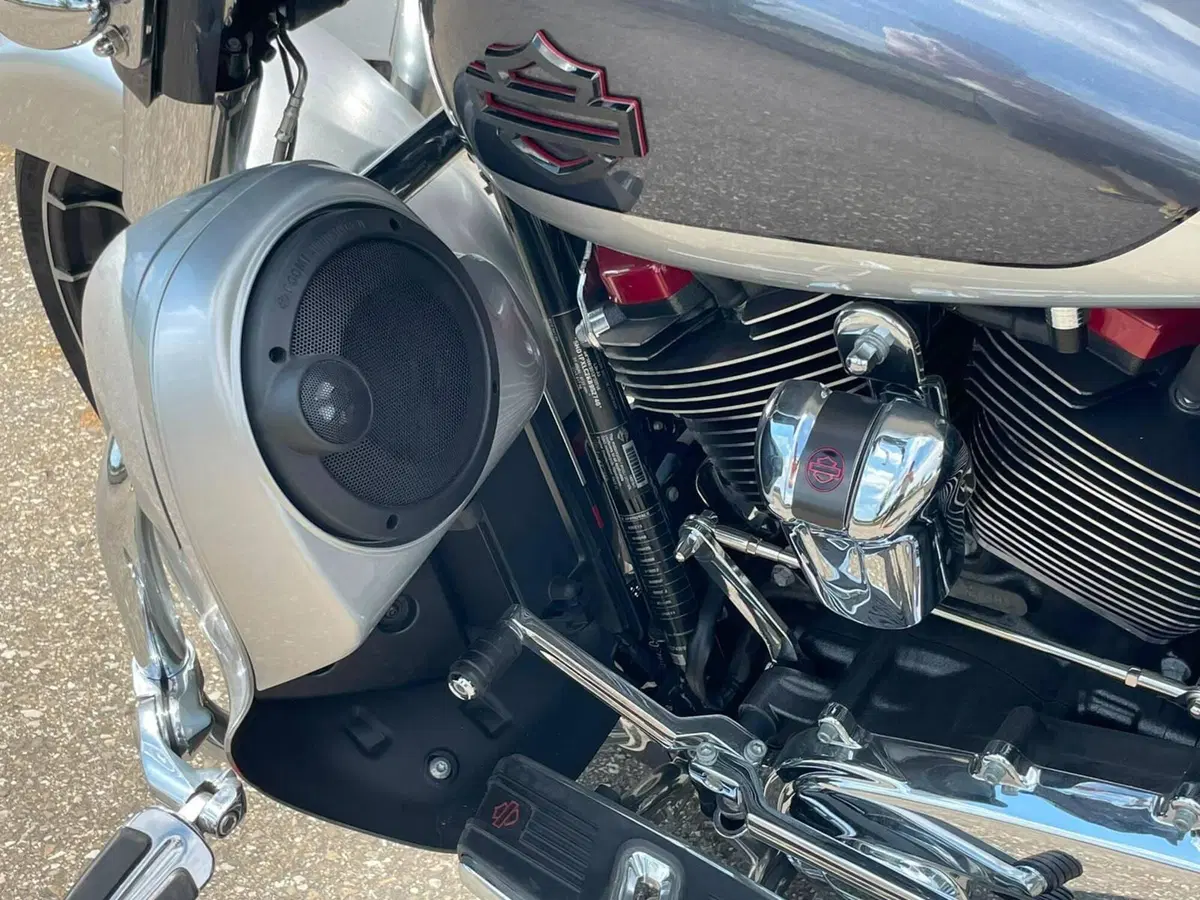 Harley-Davidson 117 Street Glide (2018 - 20) - FLHXSE (15)