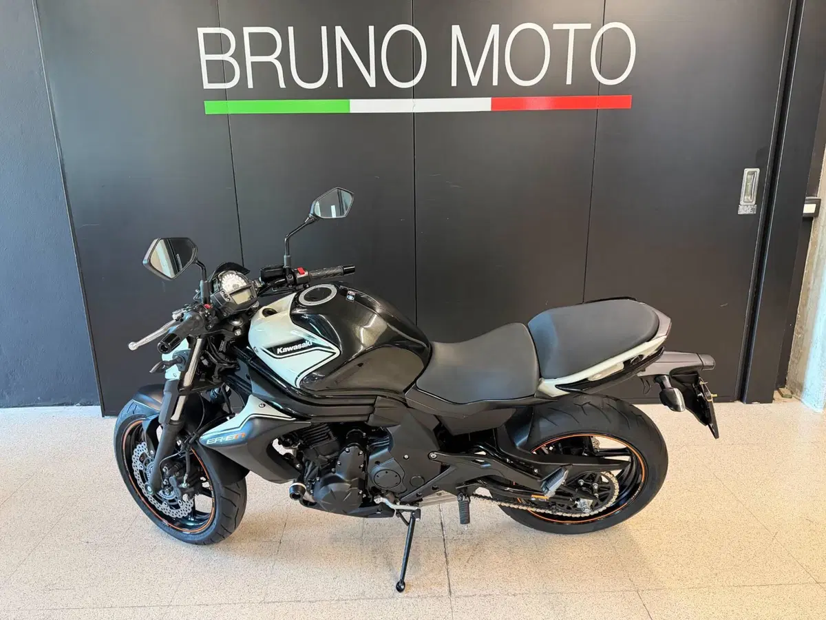 Kawasaki ER-6N ABS (2012 - 16) (2)