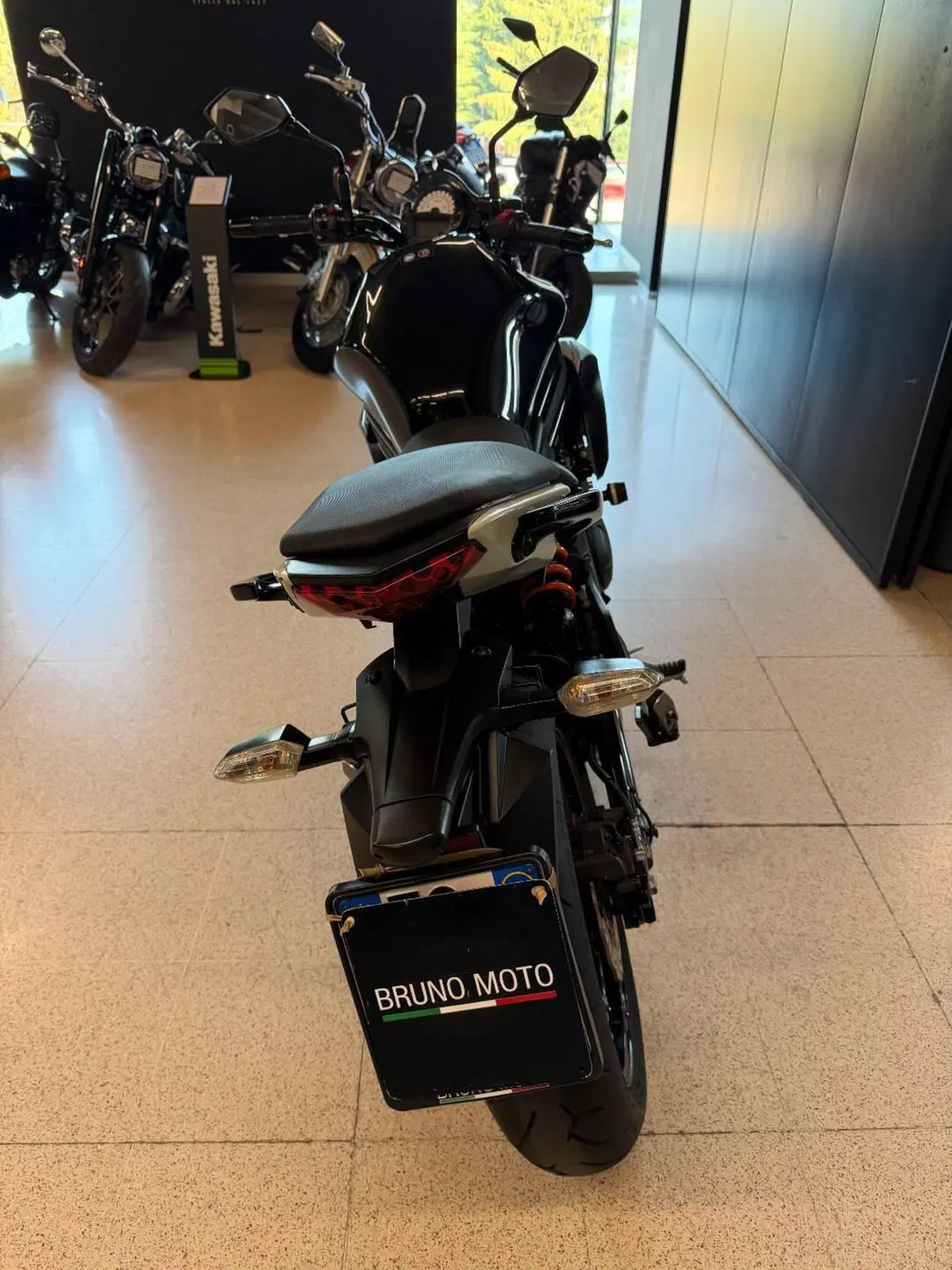 Kawasaki ER-6N ABS (2012 - 16) (4)