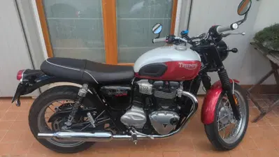 Triumph Bonneville T100 Bud Ekins SE (2020) usata