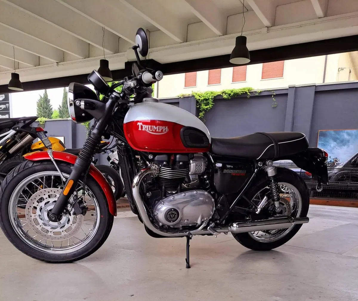 Triumph Bonneville T100 Bud Ekins SE (2020) (5)