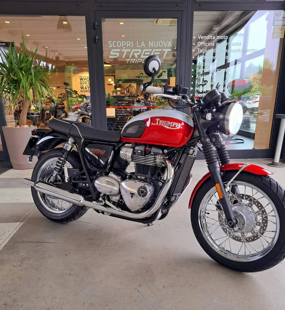 Triumph Bonneville T100 Bud Ekins SE (2020) (6)