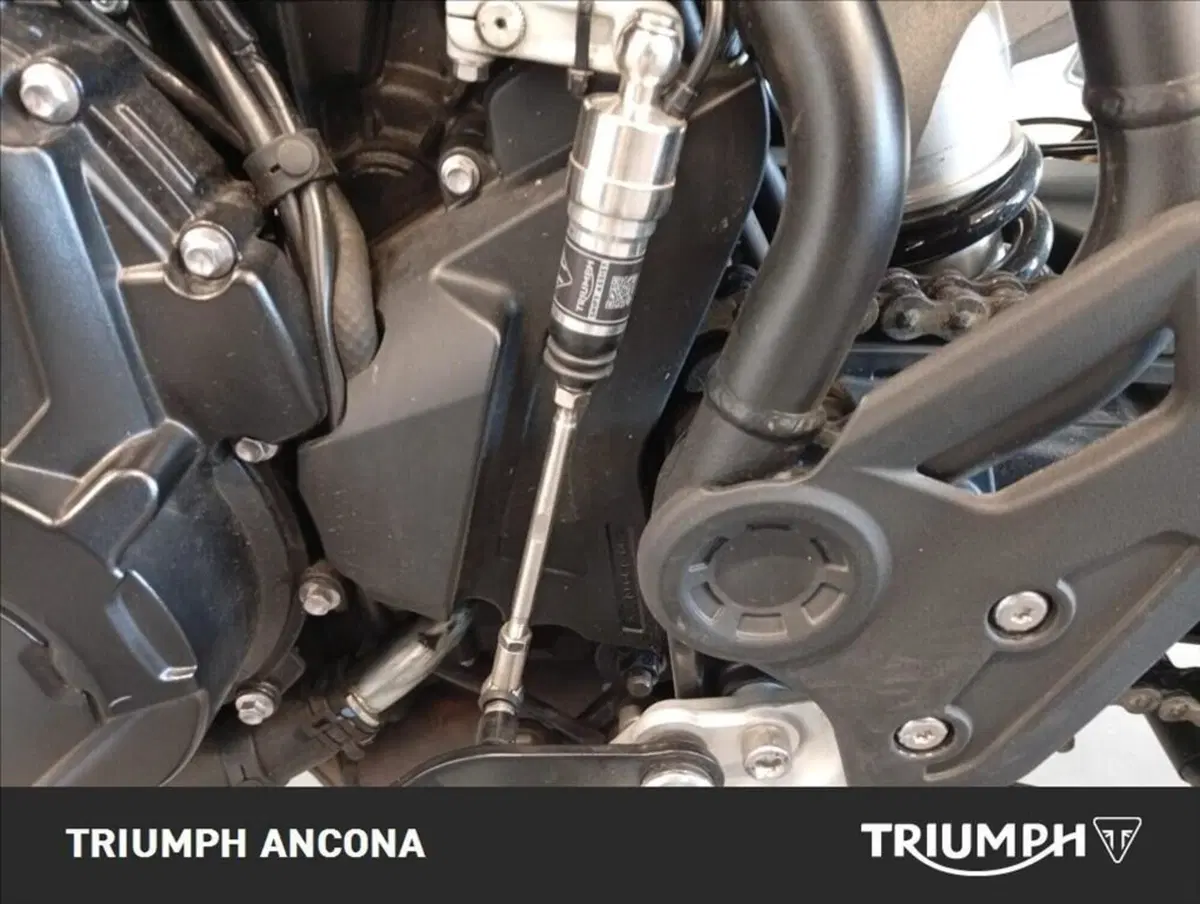 Triumph Tiger 900 GT (2024 - 26) (4)