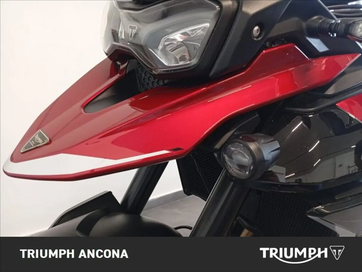 Triumph Tiger 900 GT (2024 - 26) (3)