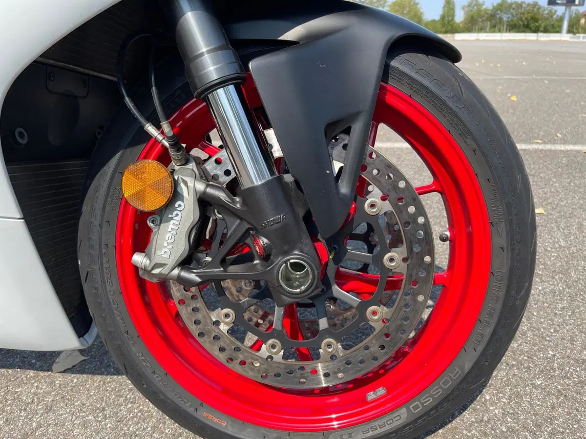 Ducati Panigale V2 (2021 - 24) (12)