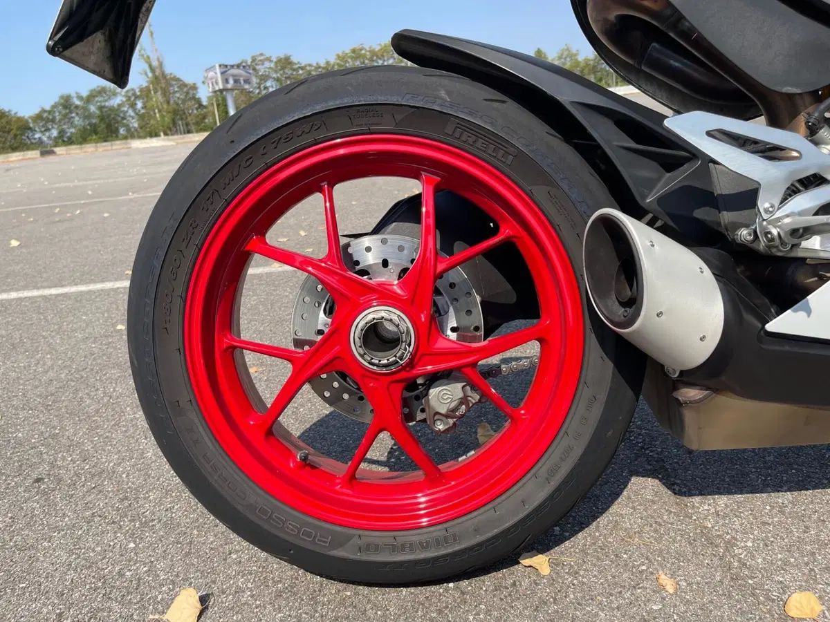 Ducati Panigale V2 (2021 - 24) (13)