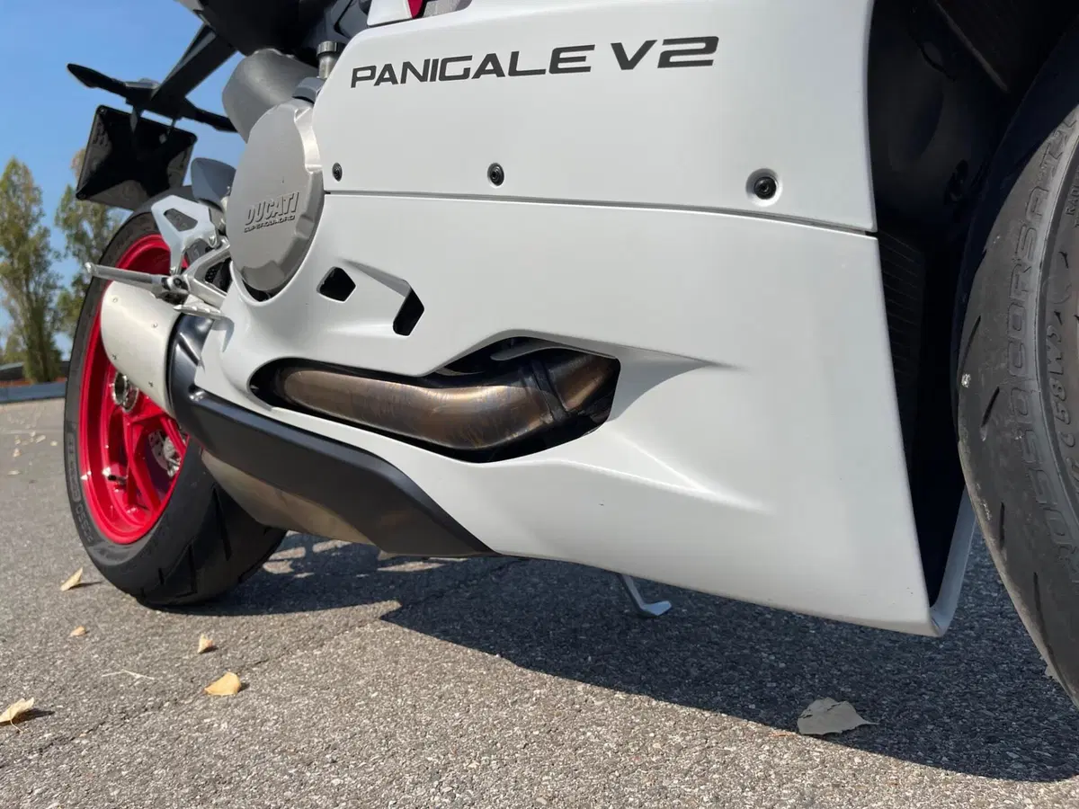Ducati Panigale V2 (2021 - 24) (7)
