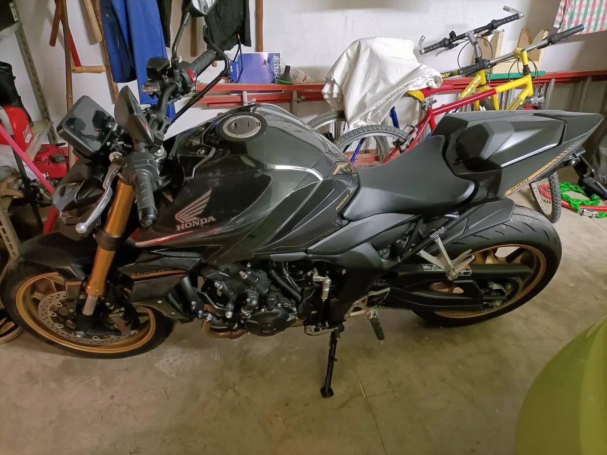 Honda CB 1000 Hornet SP (2025 - 26) (4)