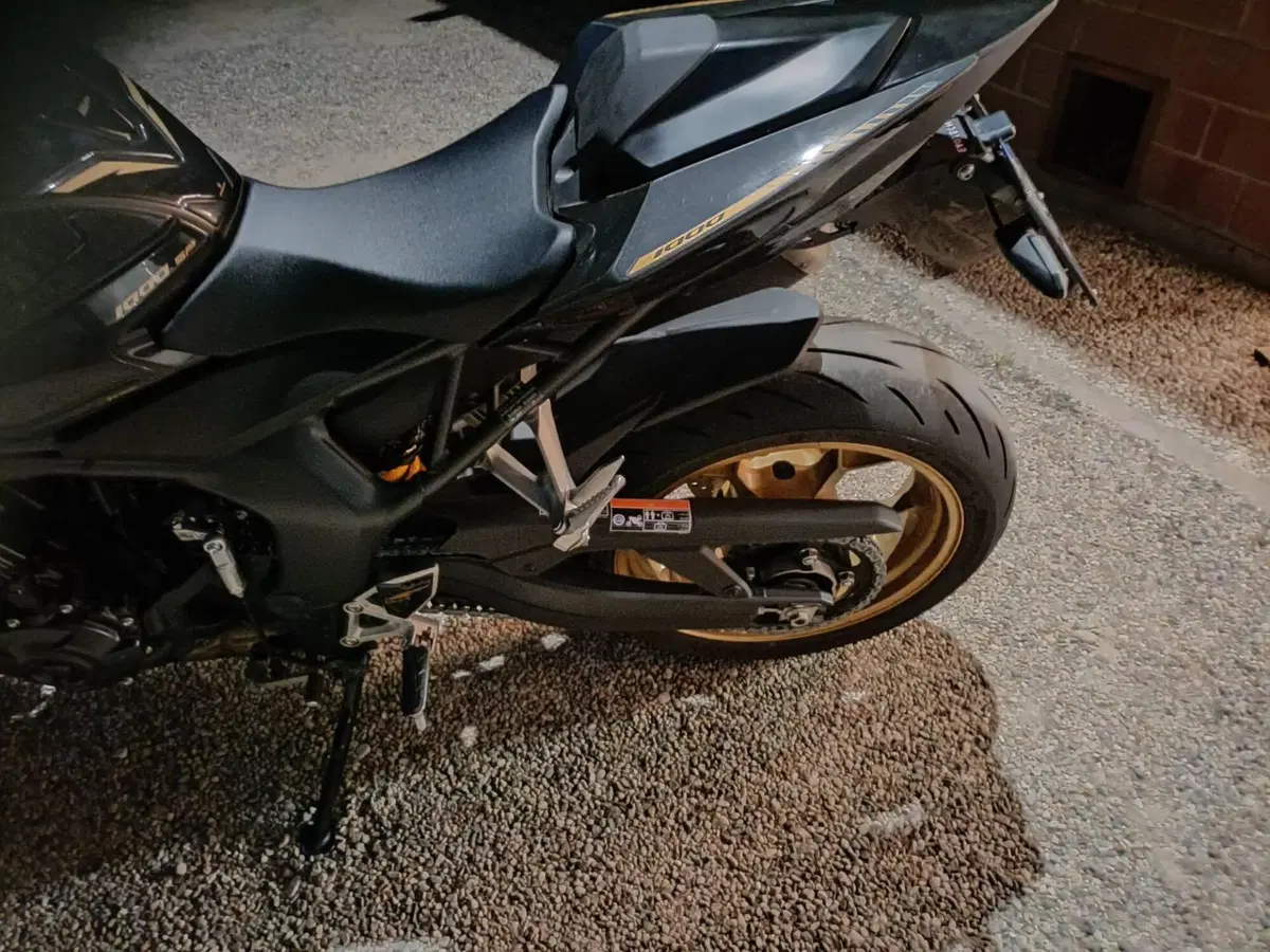 Honda CB 1000 Hornet SP (2025 - 26) (10)