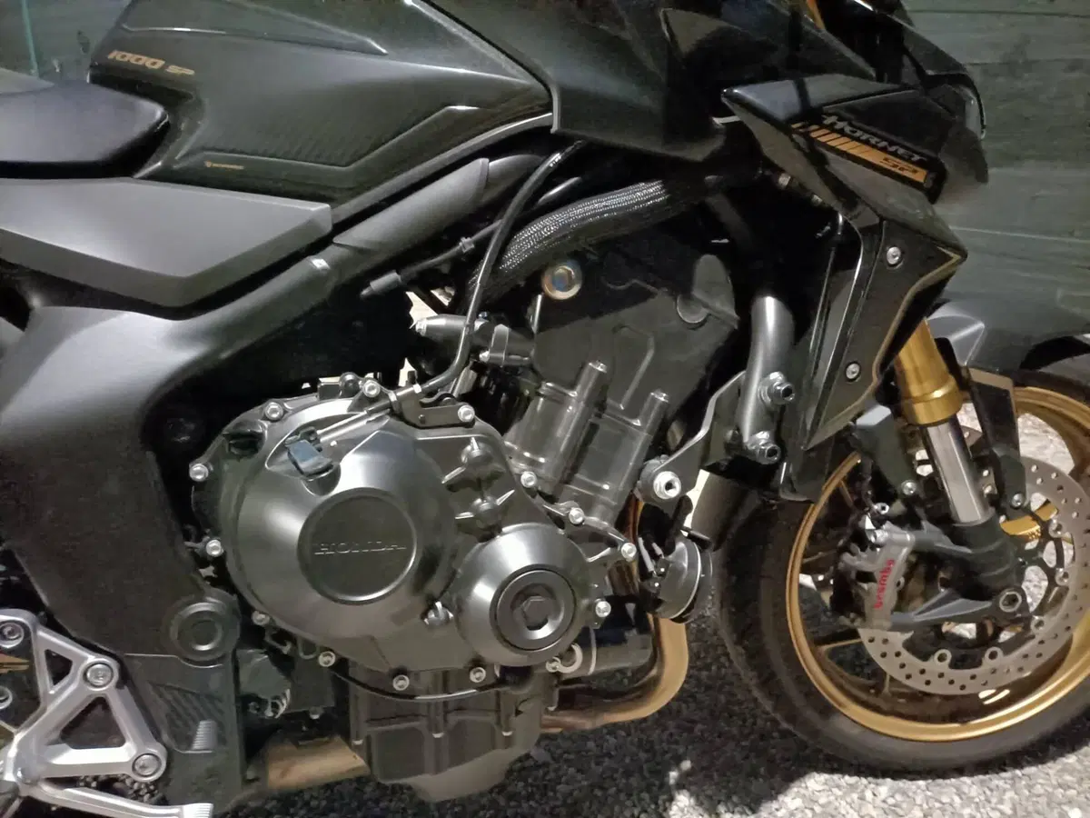 Honda CB 1000 Hornet SP (2025 - 26) (12)