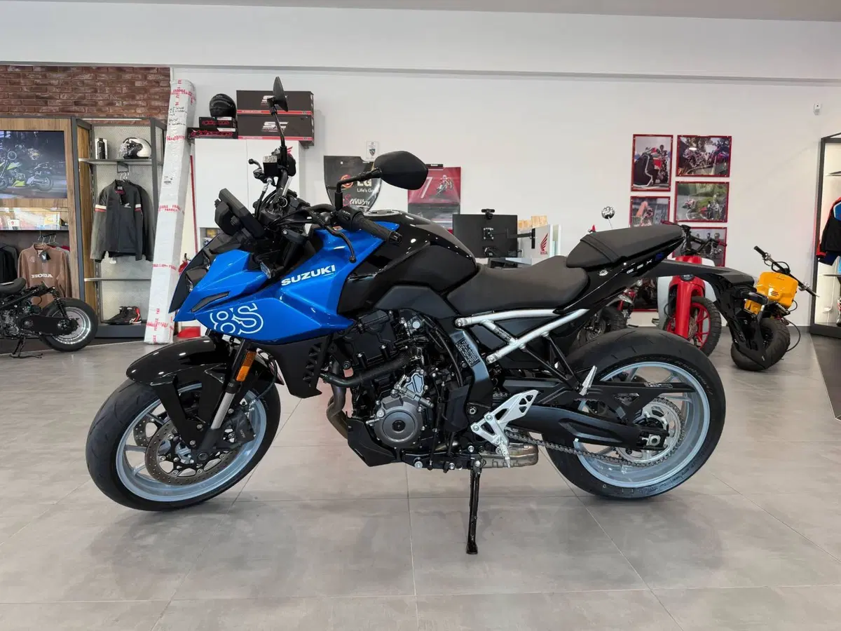 Suzuki GSX-8S (2025 - 26) (3)