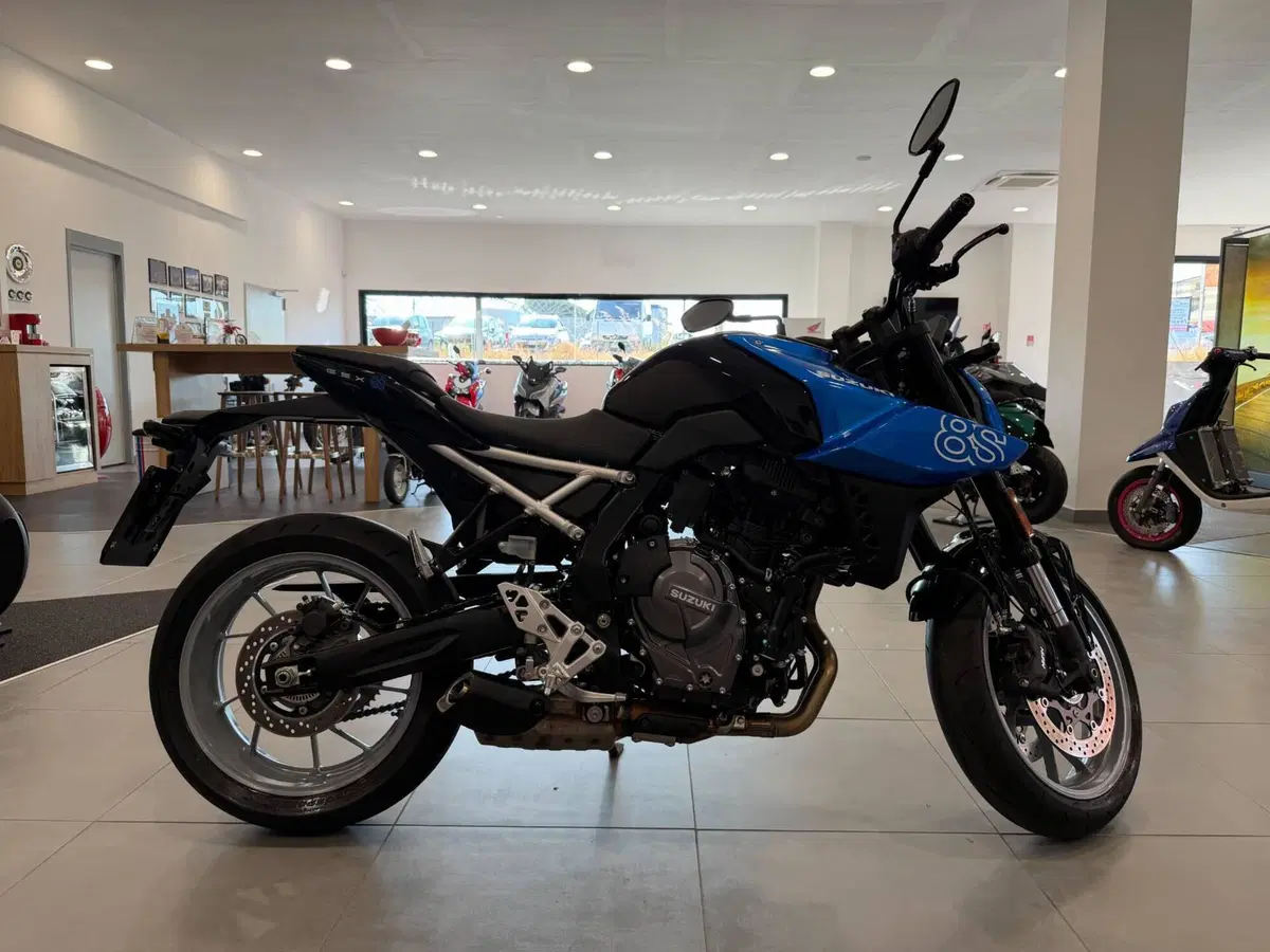 Suzuki GSX-8S (2025 - 26) (7)