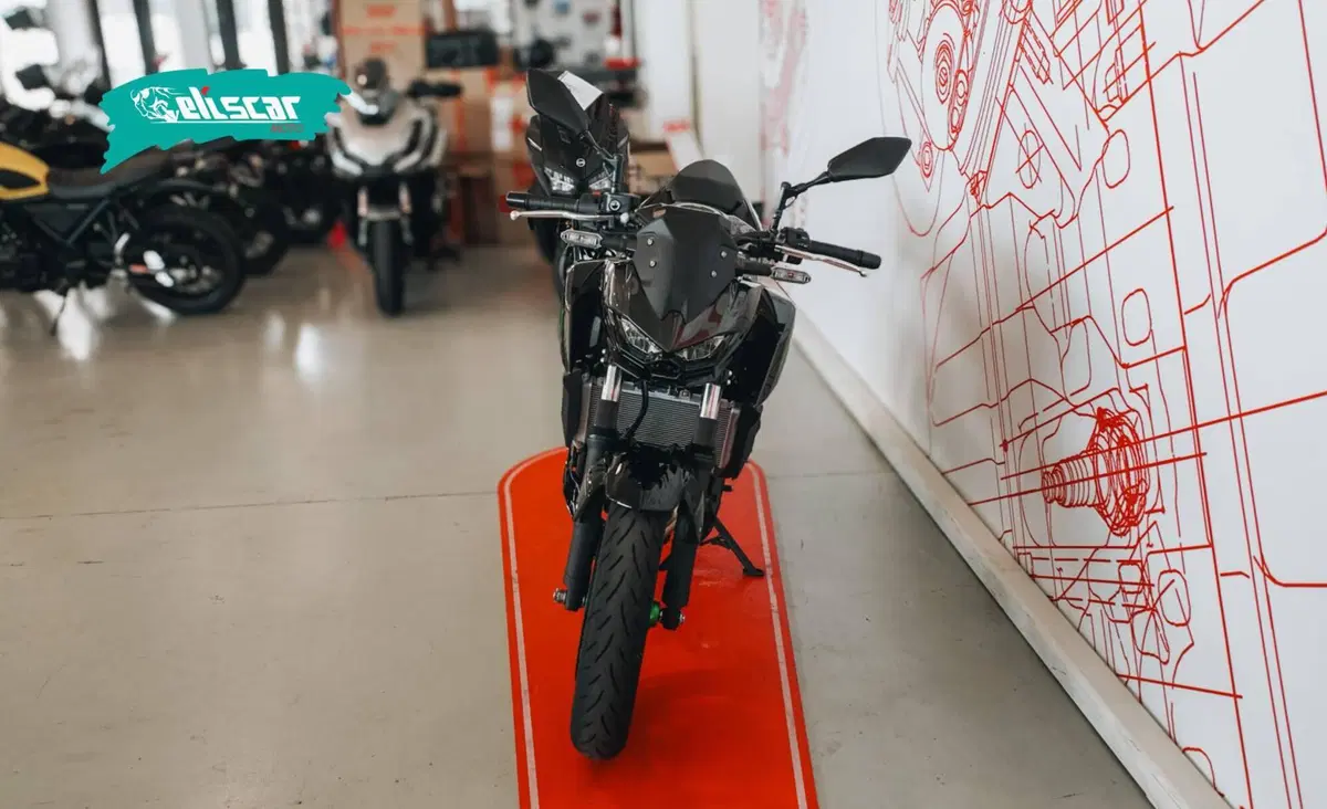 Kawasaki Z 500 SE (2024 - 26) (3)