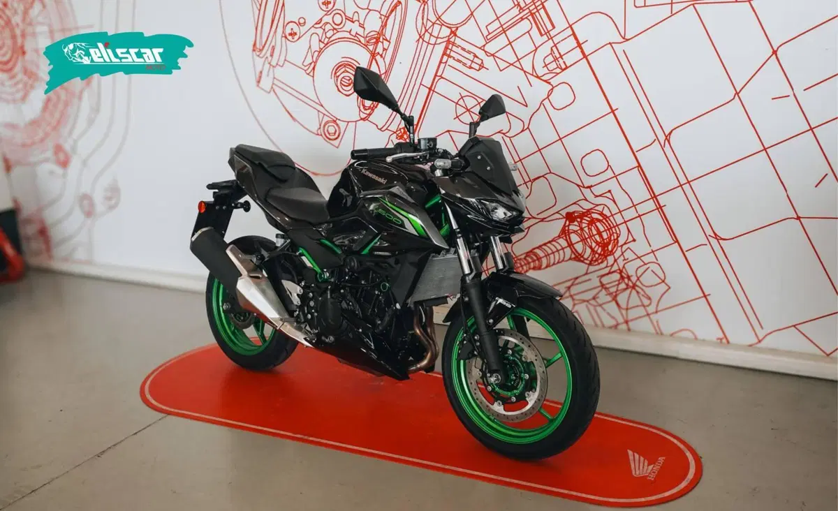 Kawasaki Z 500 SE (2024 - 26) (2)