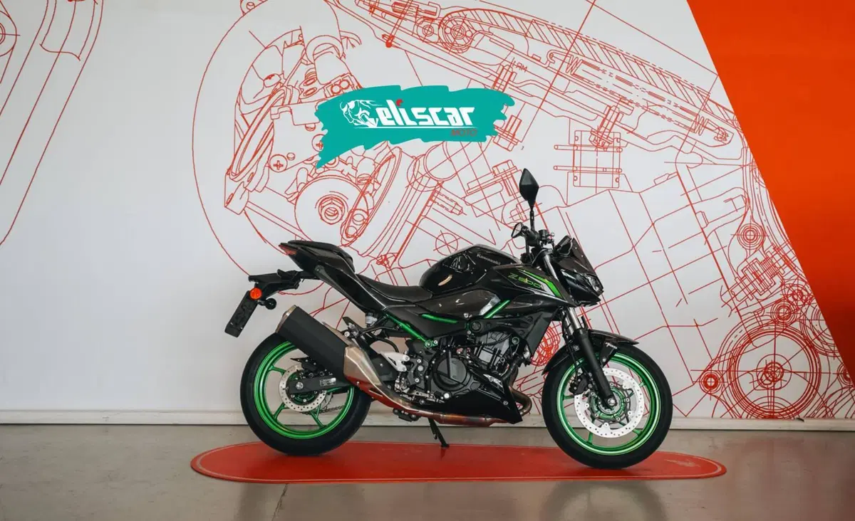 Kawasaki Z 500 SE (2024 - 26)