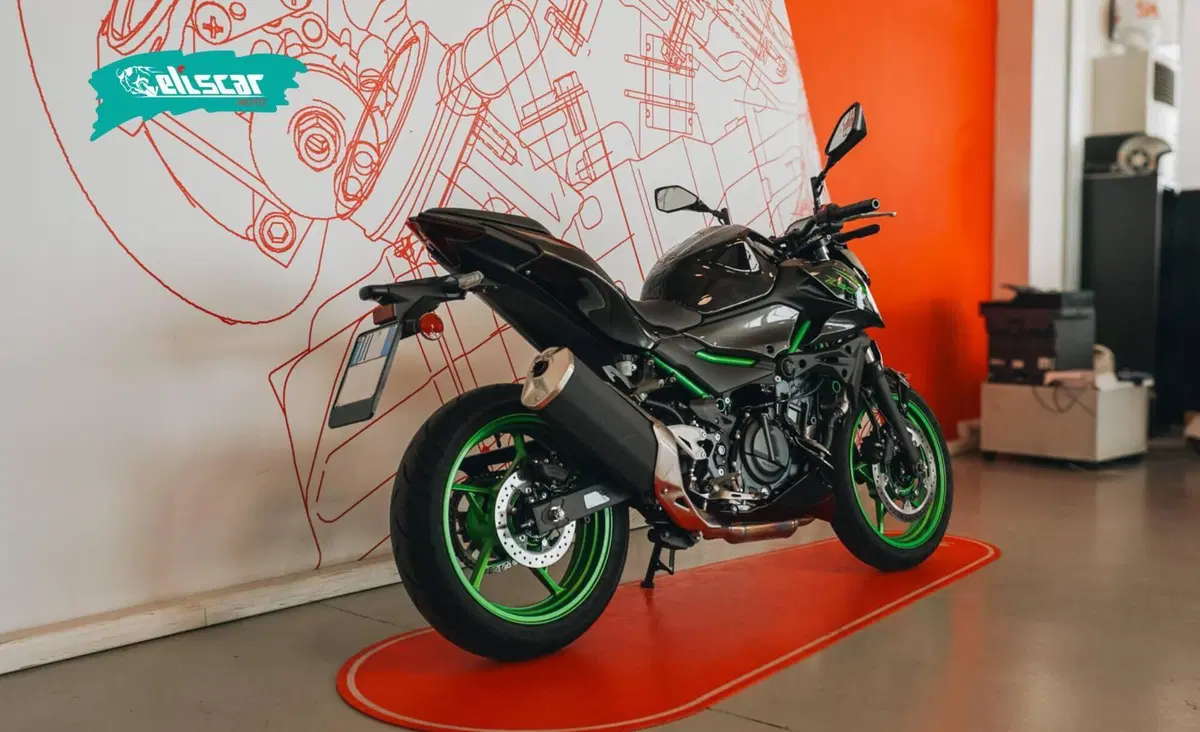 Kawasaki Z 500 SE (2024 - 26) (4)