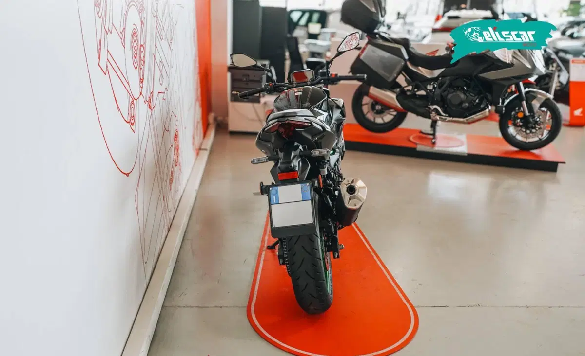 Kawasaki Z 500 SE (2024 - 26) (5)