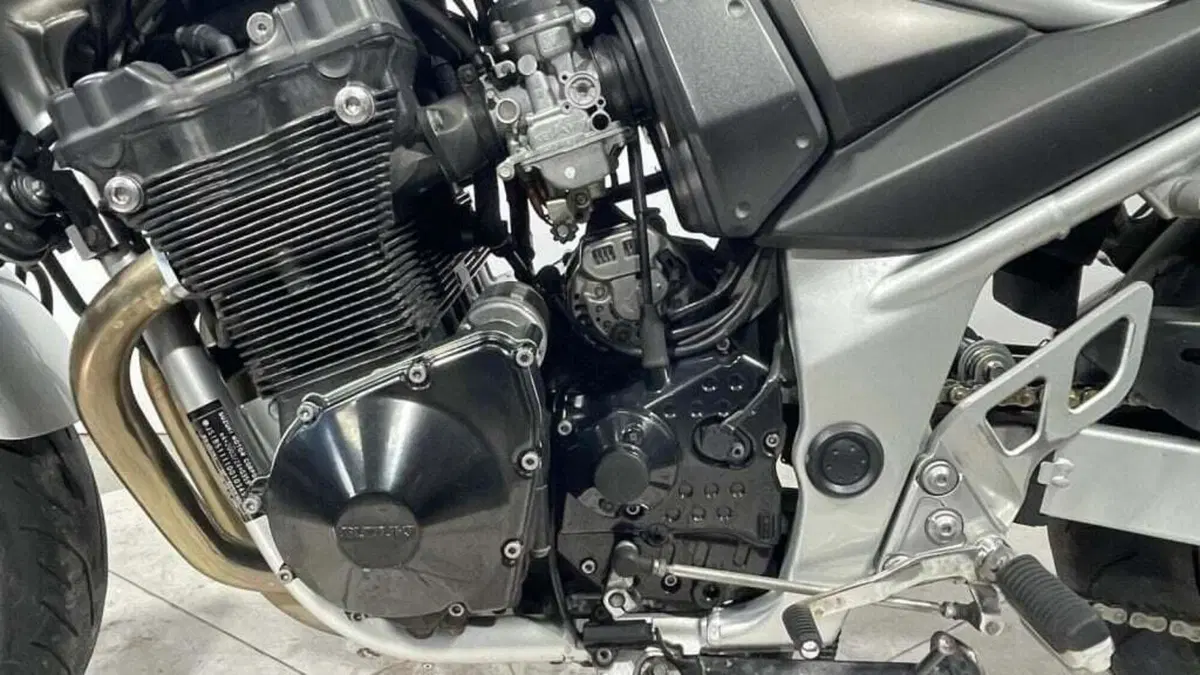 Suzuki GSF 650 Bandit (2005 - 06) (7)