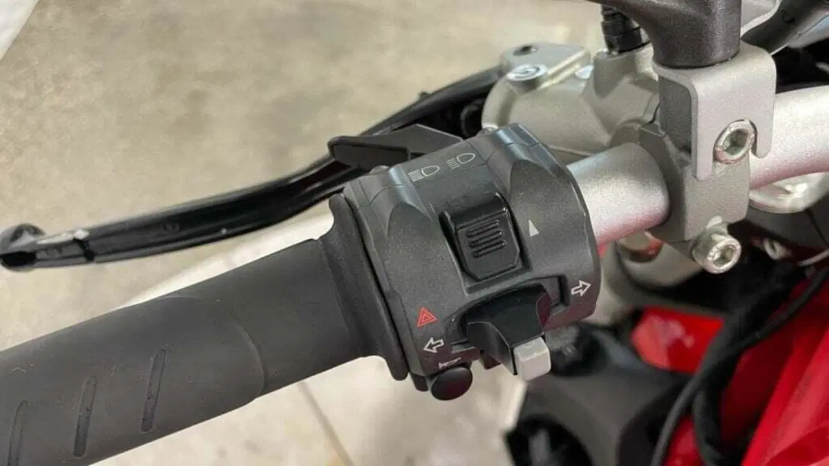 Ducati Monster 1200 (2014 - 16) (13)