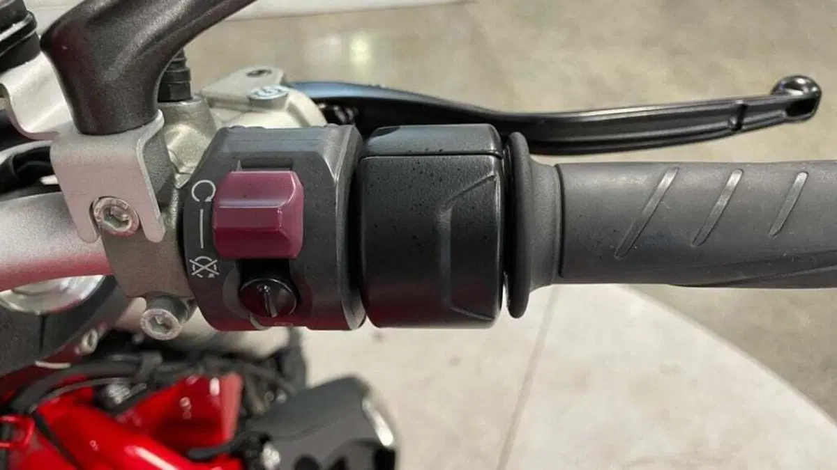 Ducati Monster 1200 (2014 - 16) (16)