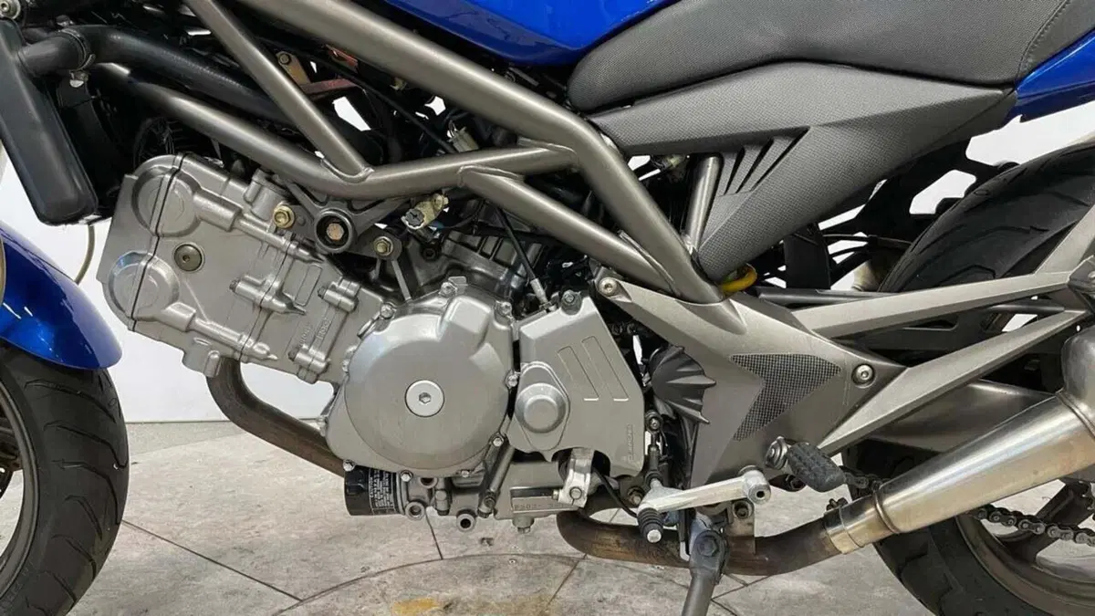 Cagiva Raptor 650 (2001 - 04) (9)